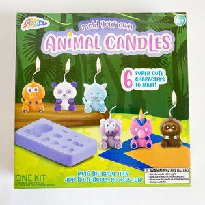 Animal Candle Molding Kit 6 Cute Characters